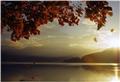 Profumi d'Autunno